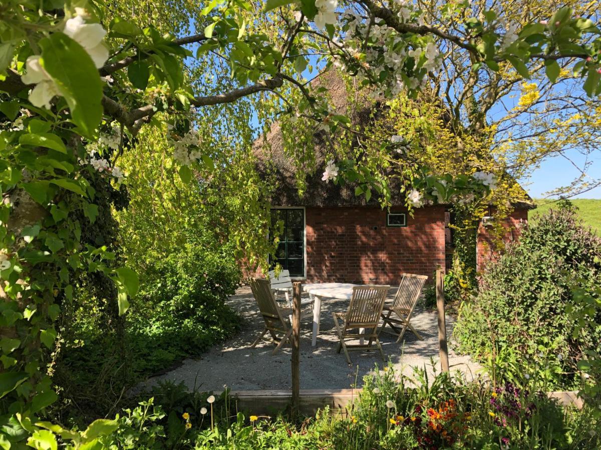Villa Haus Kaethe Am Deich Balje Esterno foto